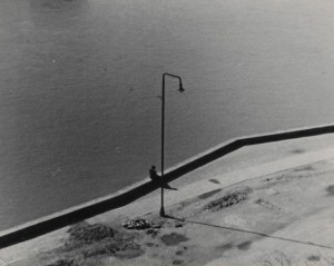 Marian SZULC, Bez tytułu, 1959