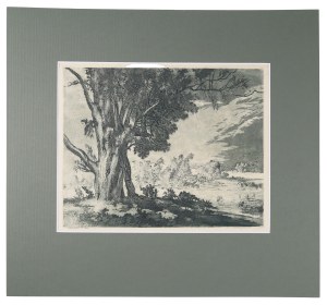 Edward KUCZYŃSKI (1905-1958), Wierzba, 1952