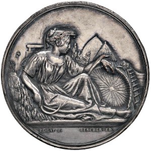 Foreign medals - FRANCIA - VIENNES. Medaglia senza data (dopo 1880) Comizio A...