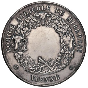 Foreign medals - FRANCIA - VIENNES. Medaglia senza data (dopo 1880) Comizio A...