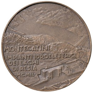 Various medals - HYDROELECTRIC PLANTS OF RESIA. Medal 1949 Mon.