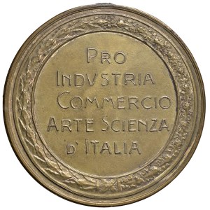 Various medals - PRO INDUSTRIA - COMMERCIO - ARTE E SCIENZA d'ITALIA. Medagli...