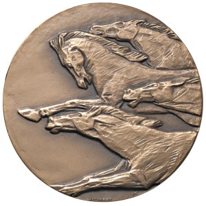 Various medals - ARTISTIC MEDAL undated 20th century. Toward Freedom - ...