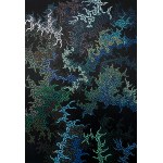 Damian Bisikiewicz (b. 2000), Shapes of Nature: Morphogenesis No. 1, 2026