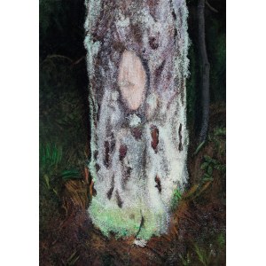 Katarzyna Sienkiewicz (b. 1991), Conservation of the wilderness, 2020
