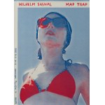 Wilhelm SASNAL (1972), MAP TRAP, 2003