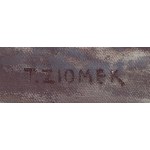 Teodor Ziomek (1874 Skierniewice - 1937 Varšava), Krajina s přetékající řekou