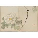 Watanabe Seitei (1852 - 1918 ), Biała piwonia, 1890