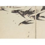 Watanabe Seitei (1852 - 1918 ), Lastovičky, 1890