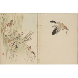 Watanabe Seitei (1852 - 1918 ), Vrabce v snope ryže, 1890