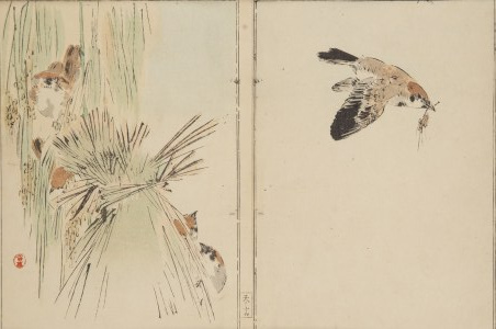 Watanabe Seitei (1852 - 1918 ), 