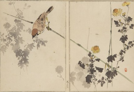 Watanabe Seitei (1852 - 1918 ), 