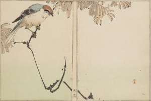 Watanabe Seitei (1852 - 1918 ), 