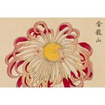 Keika Hasegawa (1892 - 1905), Chryzantema różowa, 1893