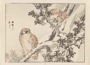 Kono Bairei (1844 - 1895), Sowy z cyklu Bairei Gafu , 1905
