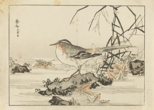 Kono Bairei (1844 - 1895), Trznadel maskowy z cyklu 