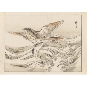 Kono Bairei (1844 - 1895), Hawk from the series Bairei Gafu, 1905