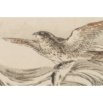 Kono Bairei (1844 - 1895), Hawk from the series Bairei Gafu, 1905