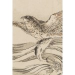 Kono Bairei (1844 - 1895), Hawk from the series Bairei Gafu, 1905