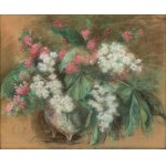 Klementyna Mien (1870-1954), 