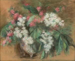 Klementyna Mien (1870-1954), 