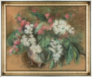 Klementyna Mien (1870-1954), 