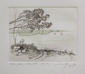 Leszek Rózga, Droga polna, 1990