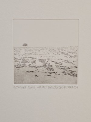 Elżbieta Bocianowska, O poranku