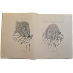 MATUSZKÓWNA, Stanisława - ORNAMENTS OF THE WOMEN'S TRADITIONAL COSTUME OF ŻYWIEC, published in 1931 [ILLUSTRATIONS]