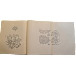 MATUSZKÓWNA, Stanisława - ORNAMENTS OF THE WOMEN'S TRADITIONAL COSTUME OF ŻYWIEC, published in 1931 [ILLUSTRATIONS]