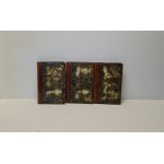 SCOTT [Skott] Walter - L'HETMAN DE CHESTER. Roman (...) Traduit par F. S. Dmochowski, t. 1-3. Varsovie, 1829.
