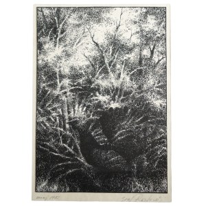 Józef Rozbrój, Guszec, grafika, maj 1982