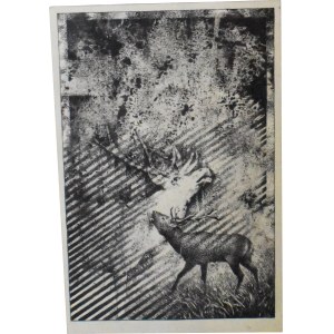Józef Rozbrój, Rykowisko, Grafika