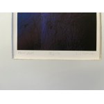 B. Liberda, impaginazione