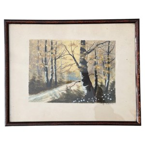 Unknown Artist, Forest Road