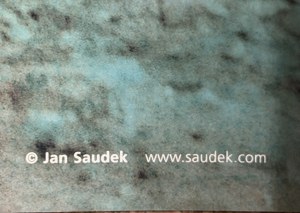 Jan Saudek (ur. 1935), 120 km/h