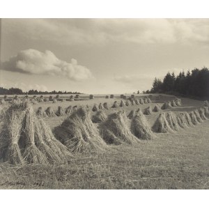 Edward Hartwig (1909-2003), Sheaves, 1926