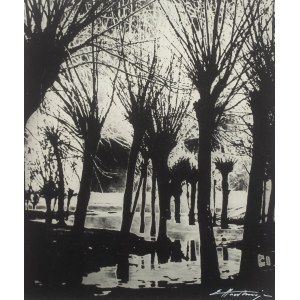 Edward Hartwig (1909-2003), Wierzby