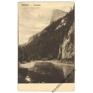 PIENINY. Sokolica
