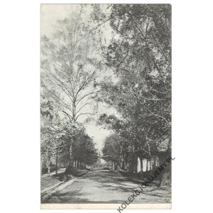 SOLEC. Hauptallee. Verlag Jabłoński und Co.