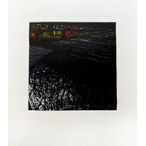 Gabriela Olejnik, Flicker I, 2005