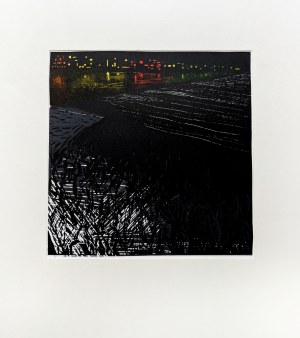 Gabriela Olejnik, Migotanie I, 2005