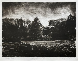 Marek Sak, Zagroda, 1995