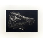 Michał Wasiak, Bellum, 2022