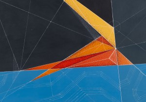 Tomasz Bartelik (ur. 1977), 