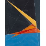 Tomasz Bartelik (ur. 1977), Swallow 3.0, 2026