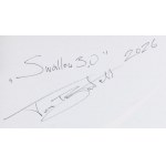 Tomasz Bartelik (ur. 1977), Swallow 3.0, 2026