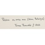 Tomasz Poznański (ur. 1989), Pulchra es, amica mea (Alina, Balladyna), 2026
