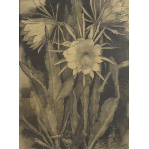 Niezidentyfikowany malarz, Kaktusy, 1929