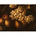 Michelangelo Cerquozzi o delle Battaglie (Roma 1602 - Roma 1660), Still life of grapes, pears, melons, and pomegranates